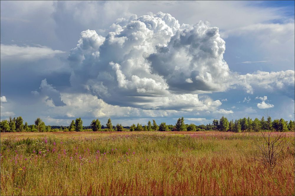 Photograph by Юрий Михайлович Головкин