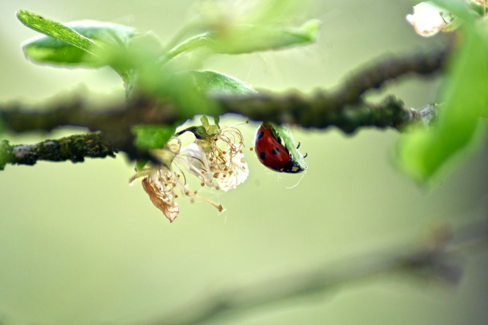 Photograph by Коротков Алексей