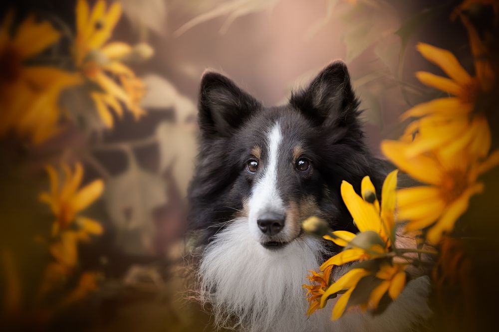 Photograph by Deise de Oliveira