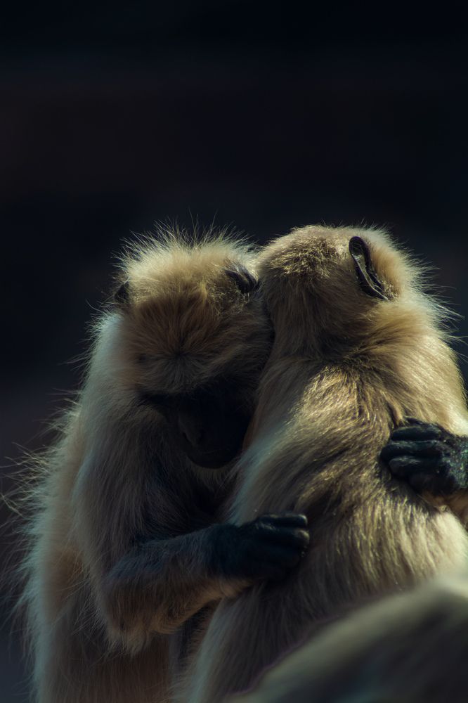 Photograph by THOTA ROHITH