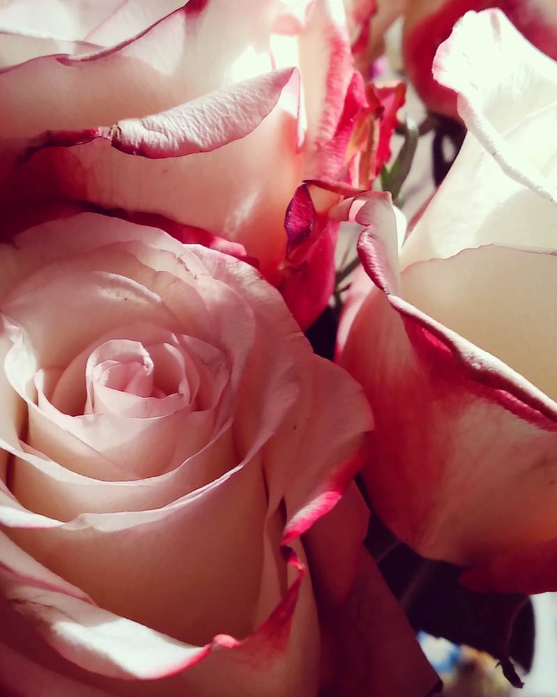 Photograph by Любовь Макарова