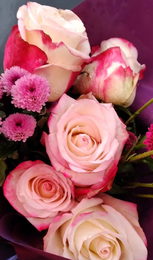 Photograph by Любовь Макарова