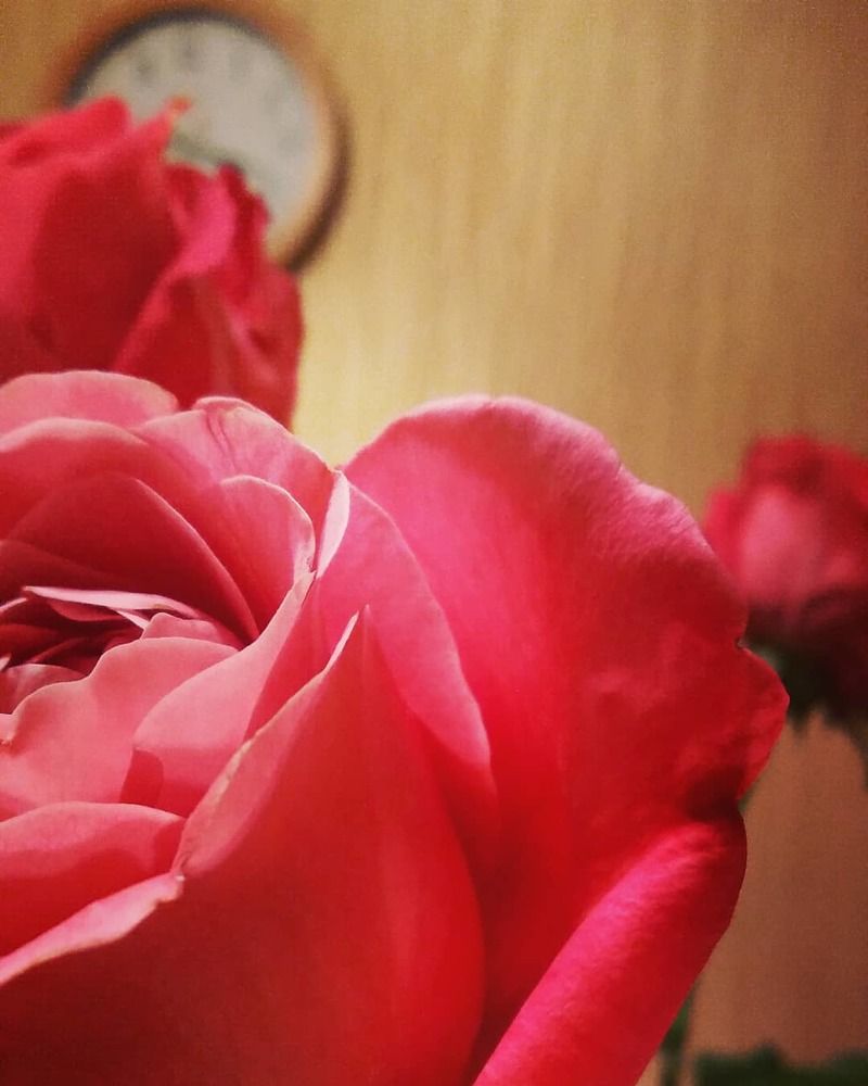 Photograph by Любовь Макарова