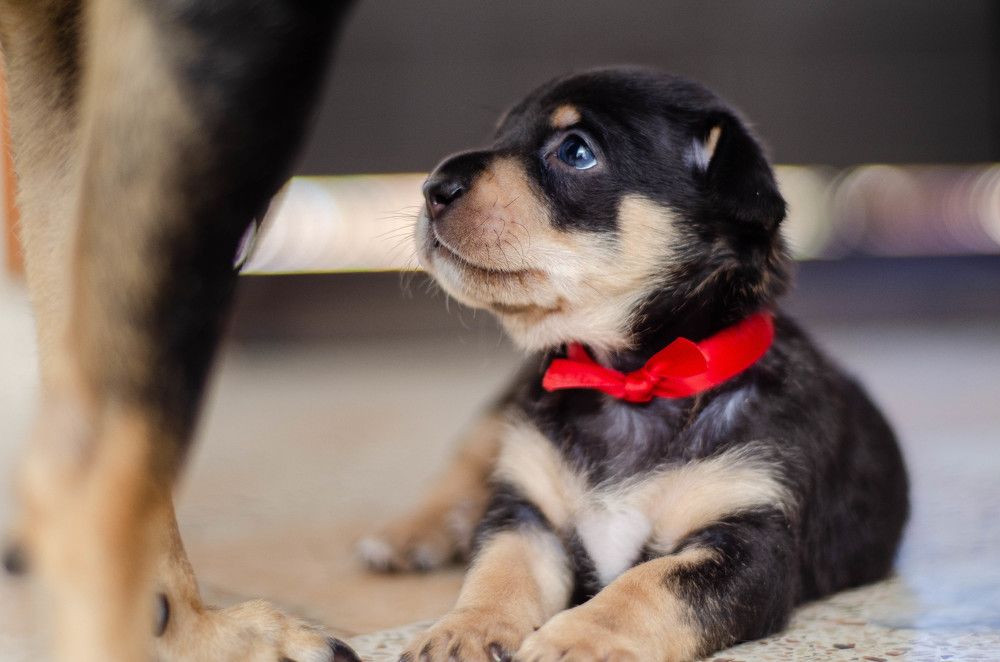 Photograph by Santiago Moreno