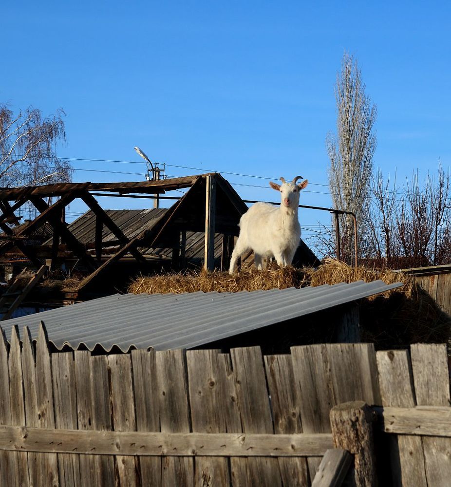Photograph by Юрий Варюхин