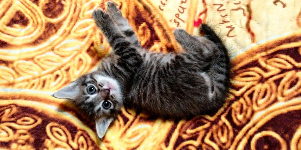 Photograph by Ubare Kelle