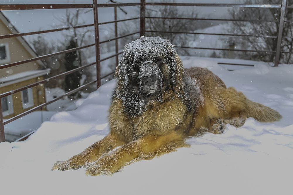 Photograph by Андрей Ларин