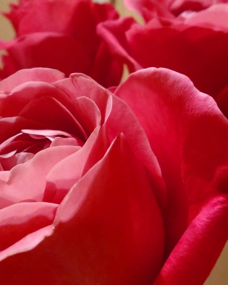 Photograph by Любовь Макарова