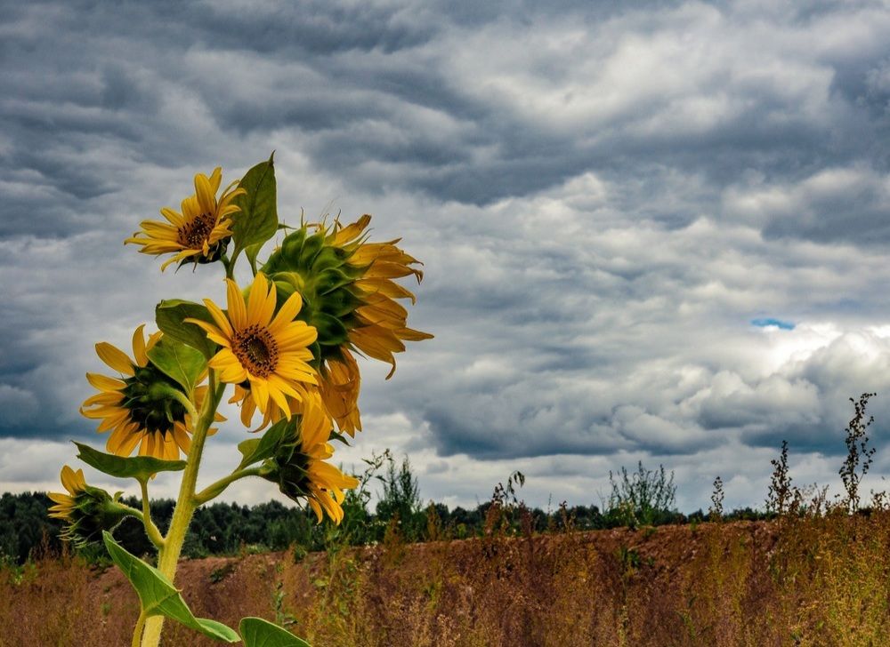 Photograph by Надежда Меркулова