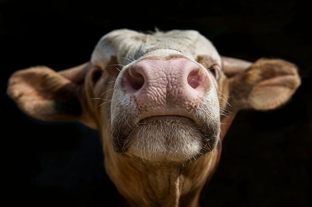 Photograph by Milan Uhrin