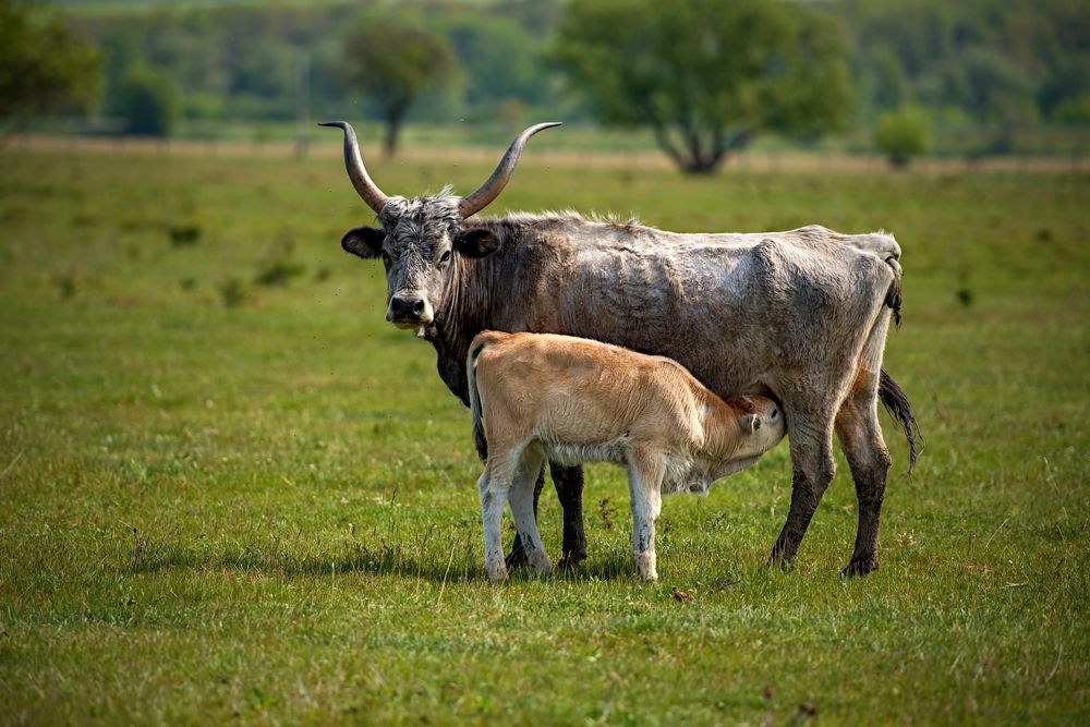 Photograph by Milan Uhrin