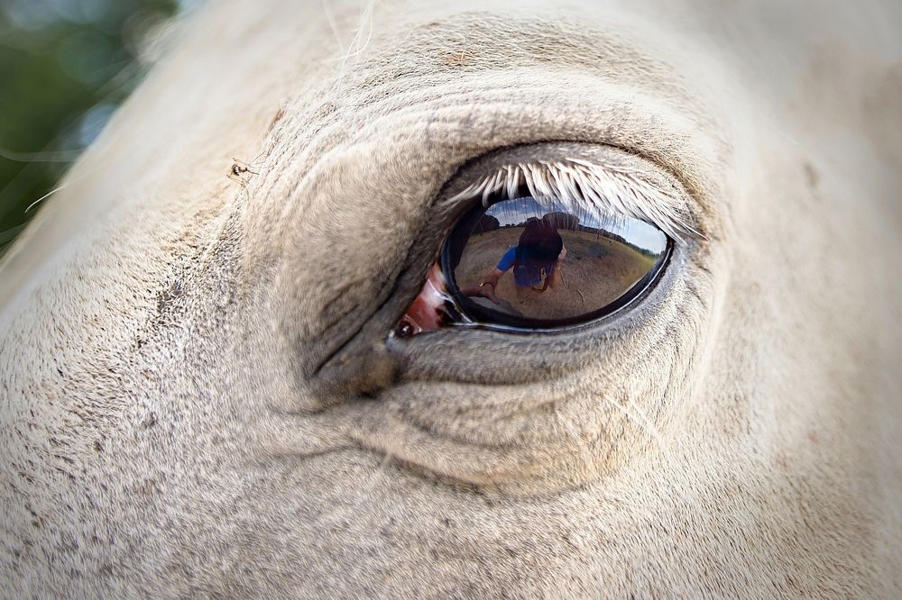 Photograph by Milan Uhrin