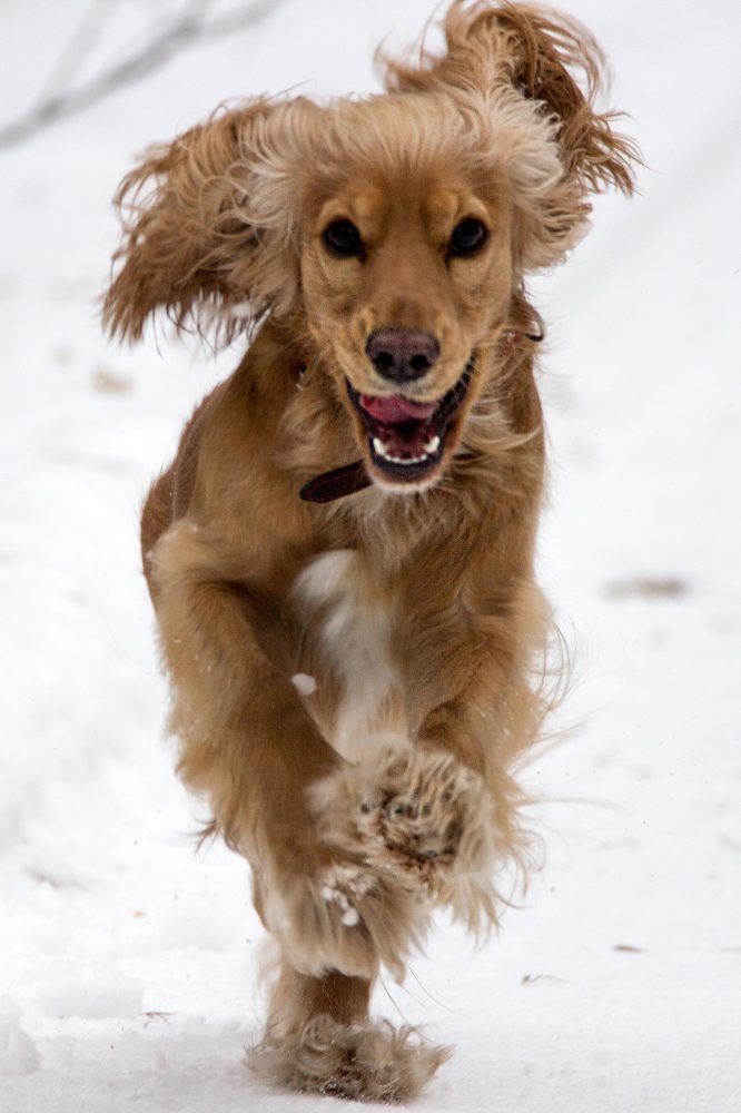 Photograph by Anna Suchcicka