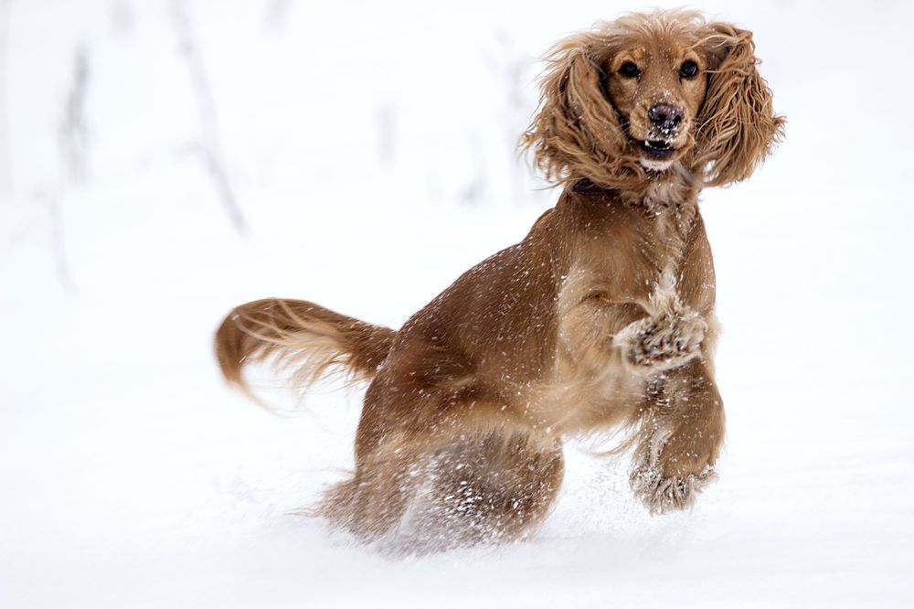 Photograph by Anna Suchcicka