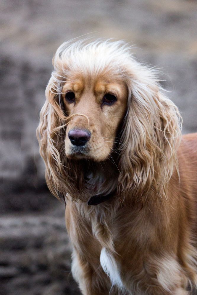 Photograph by Anna Suchcicka