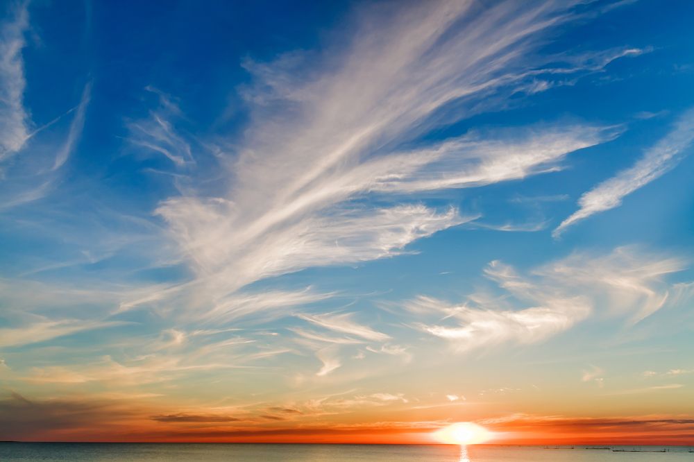 Полотно Создателя