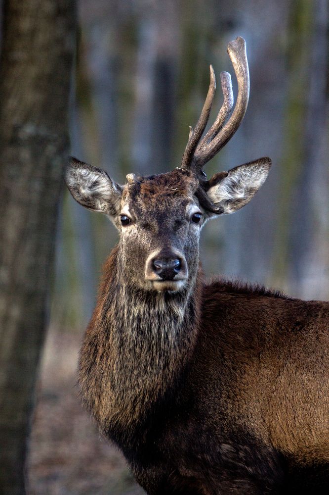 Photograph by Anna Suchcicka