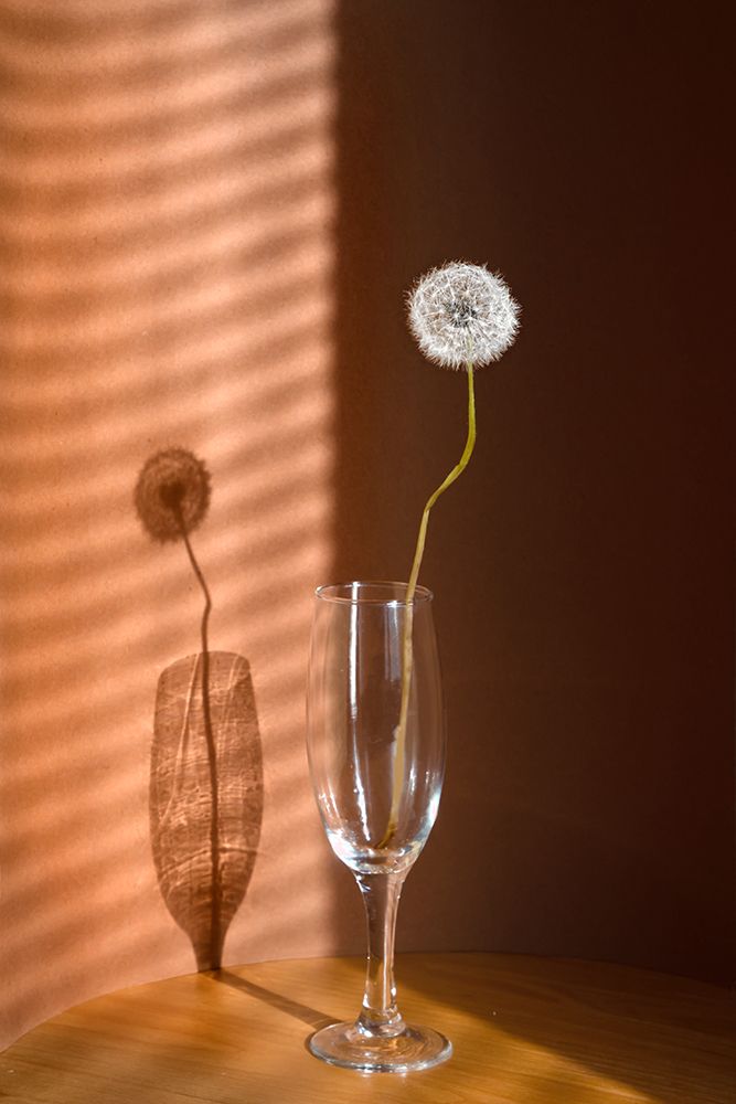 Свет и тень...