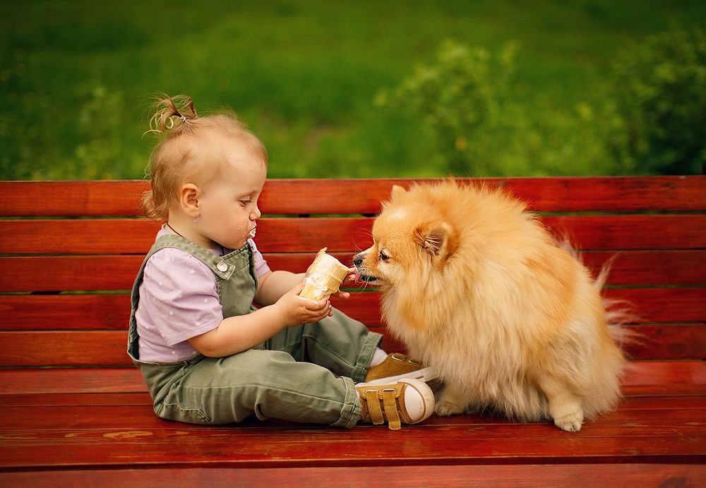 Photograph by Екатерина Крыга