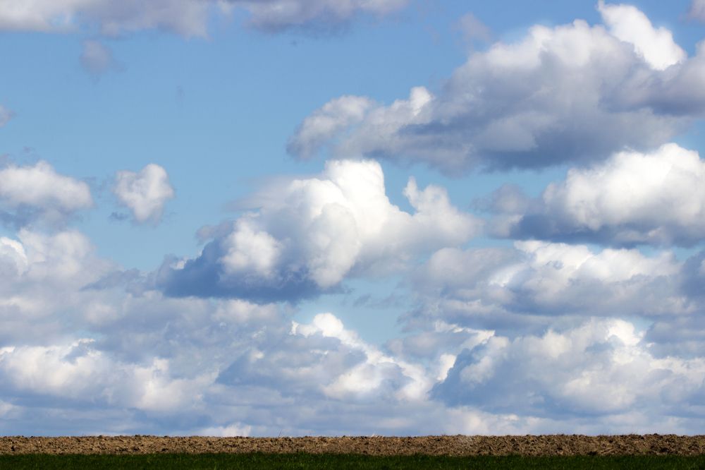 Photograph by Anna Suchcicka