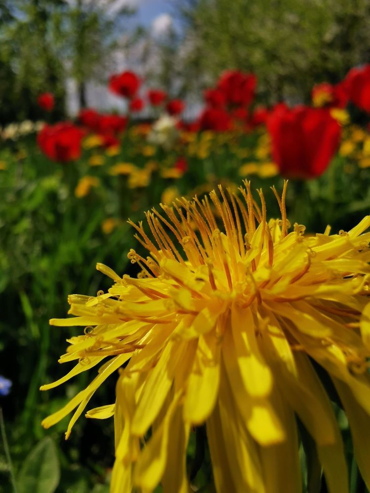 Photograph by Людмила Орловская