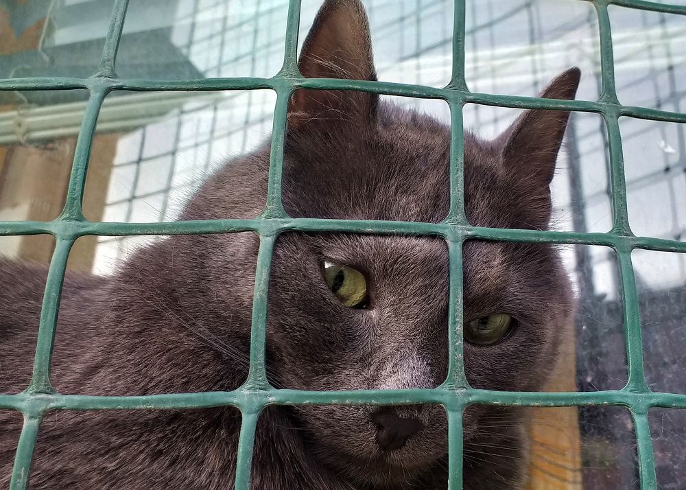 Photograph by Евгений Устинов