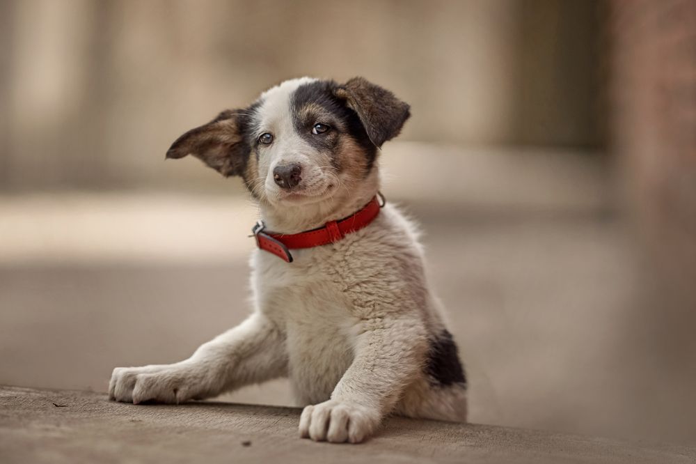 Photograph by Дарья Базарнова