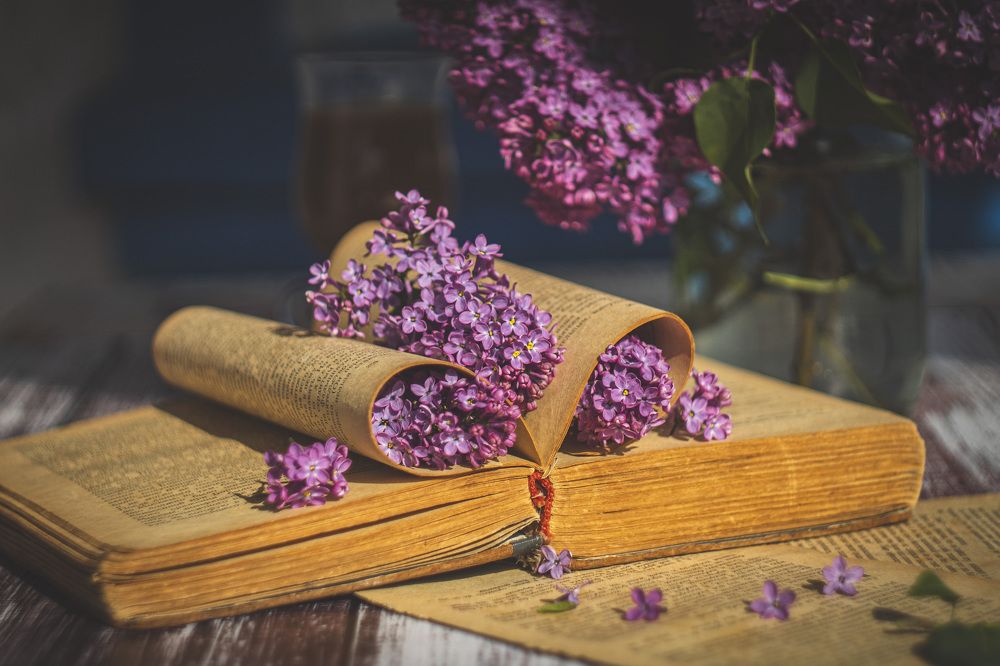 Photograph by Наталья Исиченко