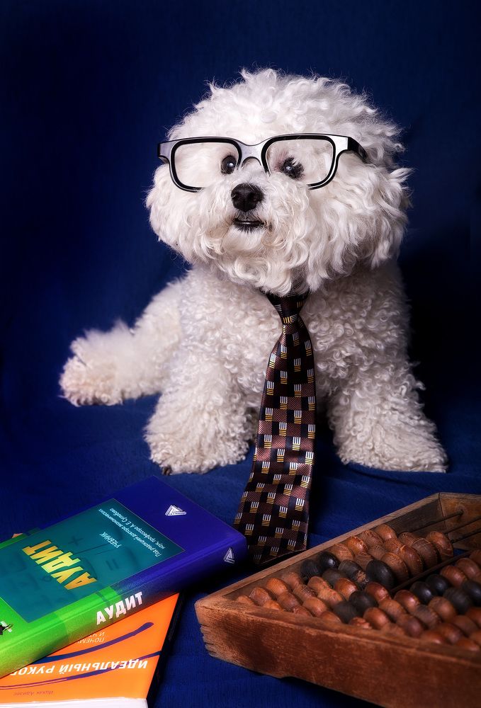 Photograph by Елена Акатьева