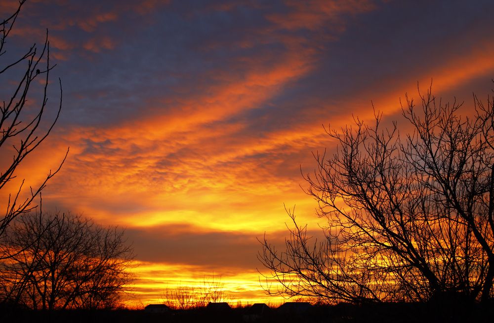 Photograph by Katrin Antares