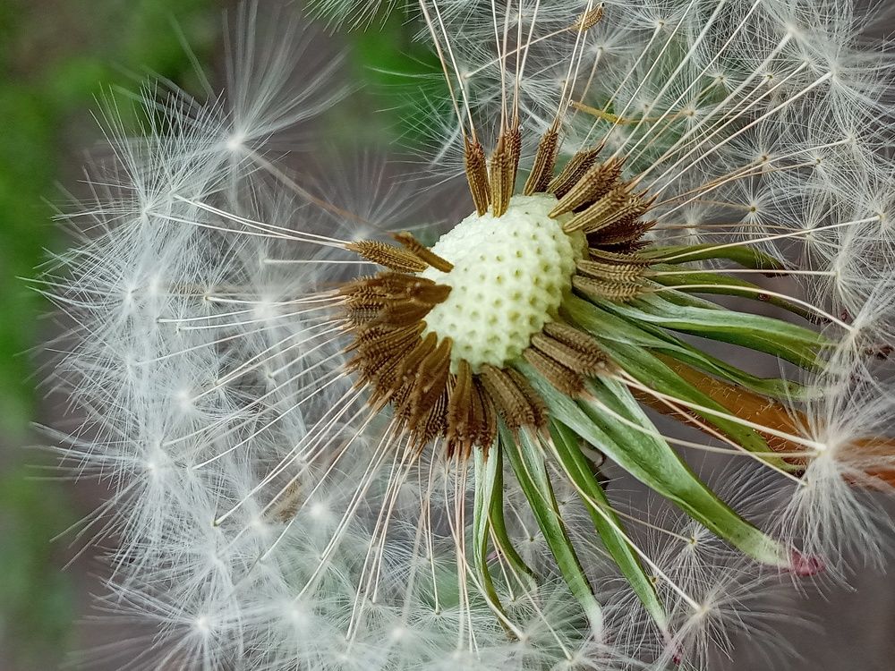 Photograph by Дарья Ващенко-Панкина