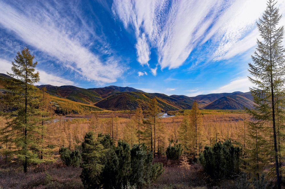 Photograph by Елена Осколкова