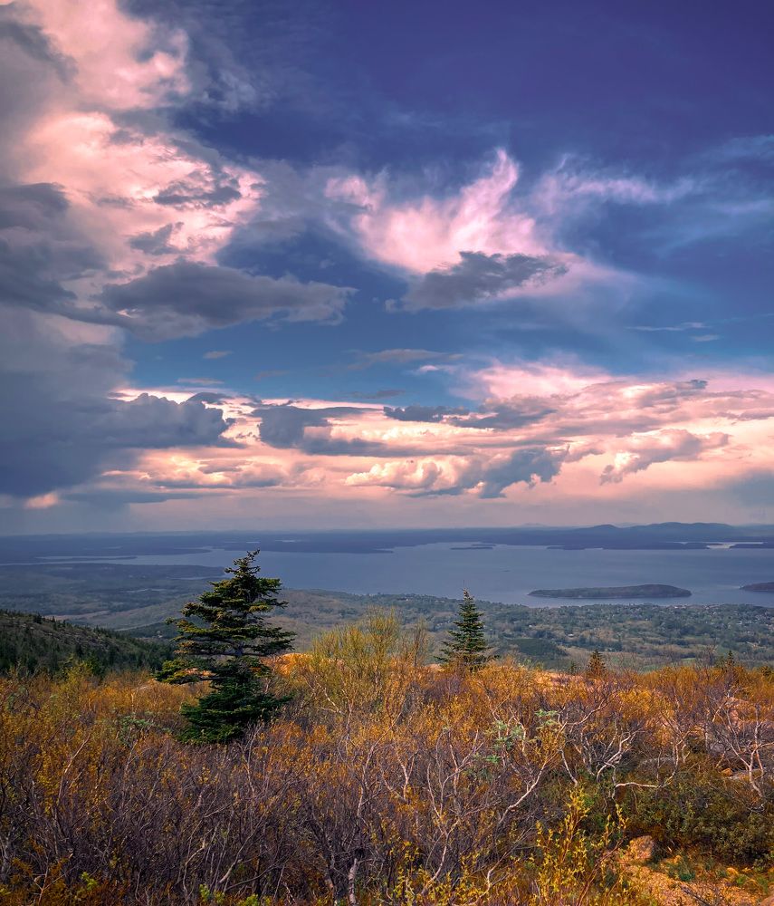 Photograph by Gargee Chowdhury