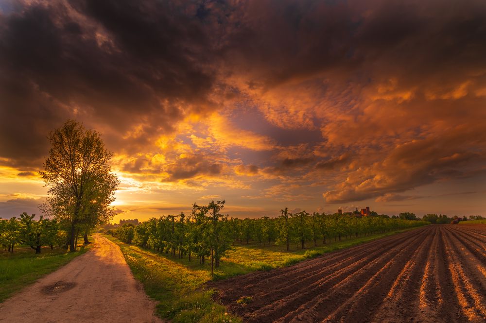 Photograph by Dariusz Budyta