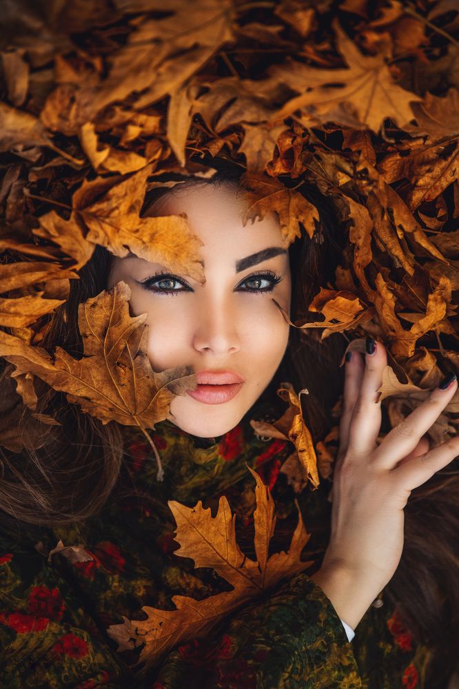 Фотография автора Ibrahim Jalal