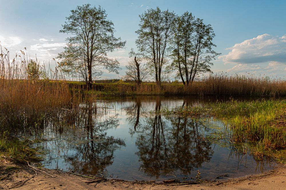 Photograph by Роман Дергунов