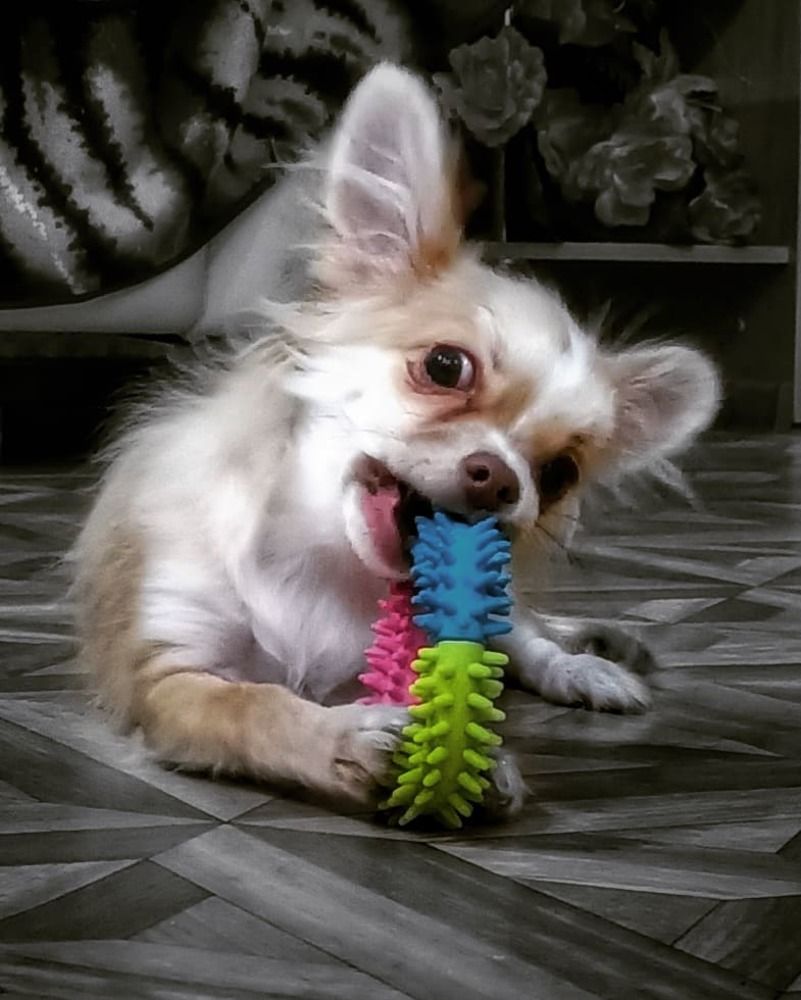 Фотография автора Марина