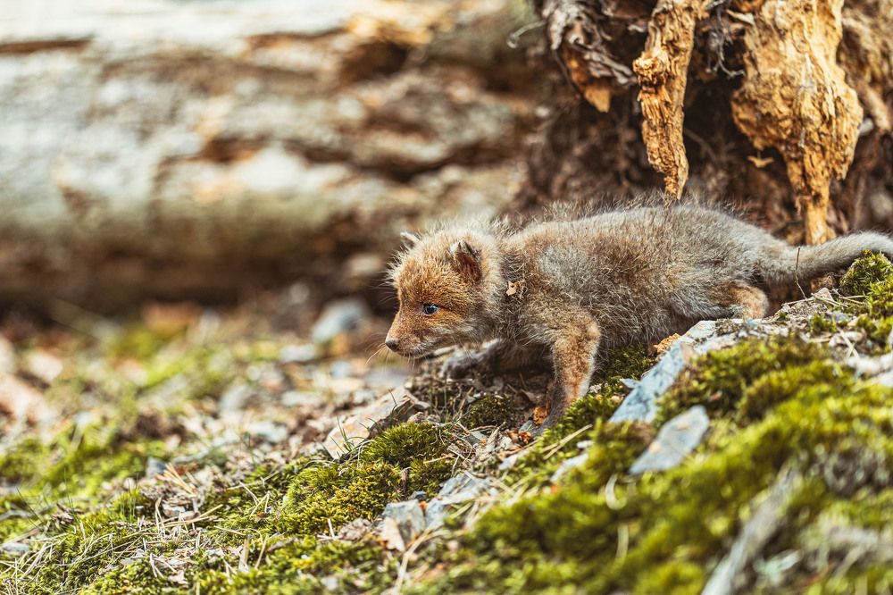 Photograph by Pavel Micek