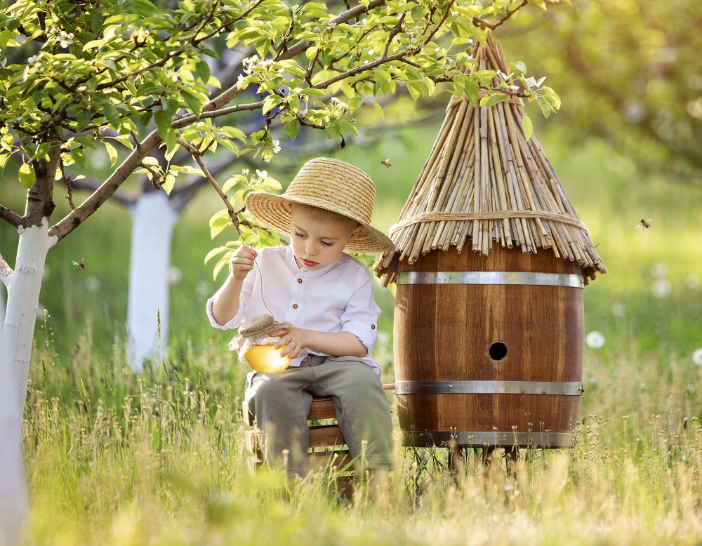 Фотография автора Катерина Лебедева