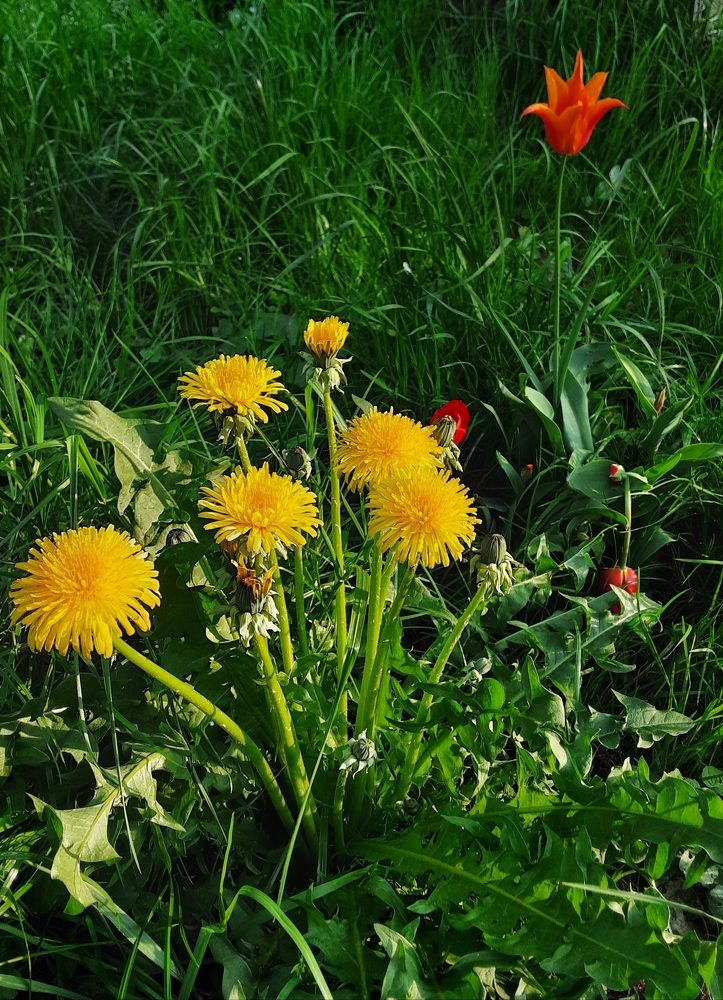 Photograph by Елена Шерман