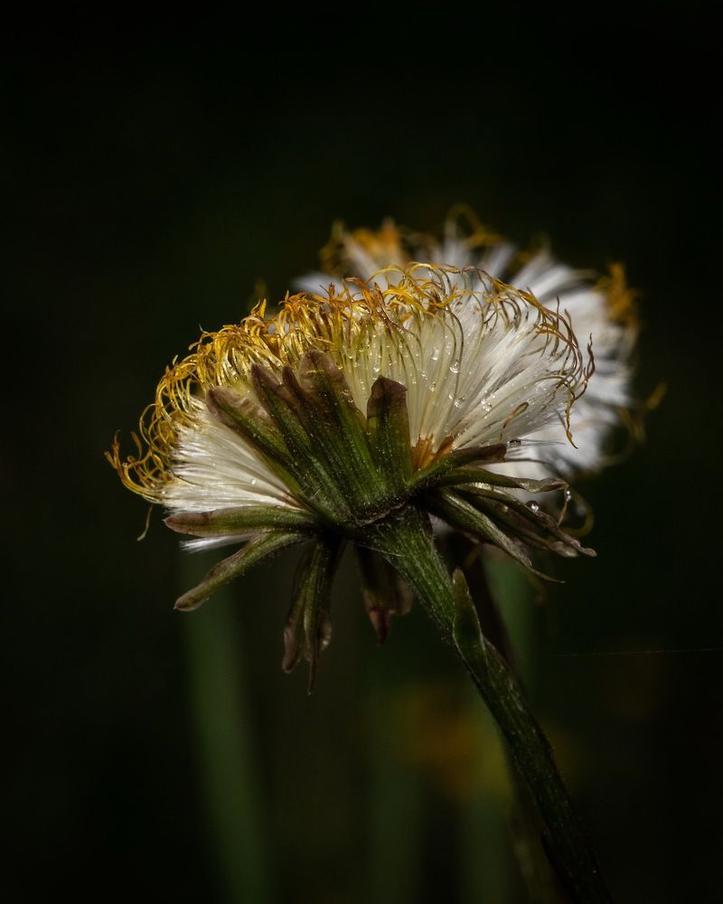 Photograph by Евгений Михеев