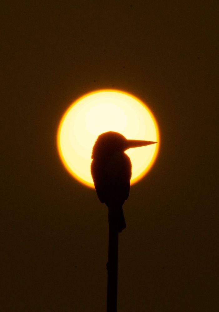 Photograph by Utsav Shaw