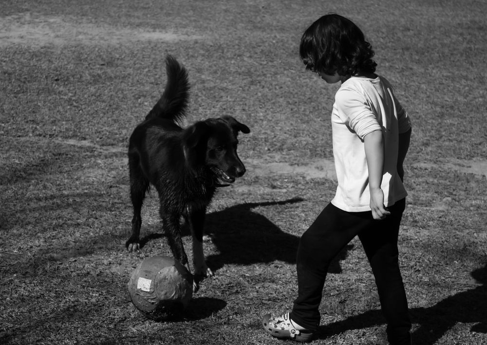 The little girl and her pet