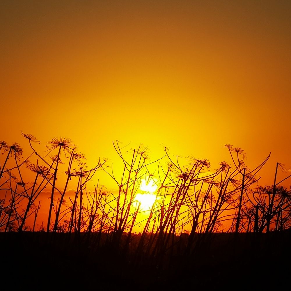 Photograph by Дина Колдомова