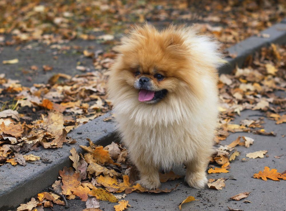 Photograph by Сергей Клапишевский