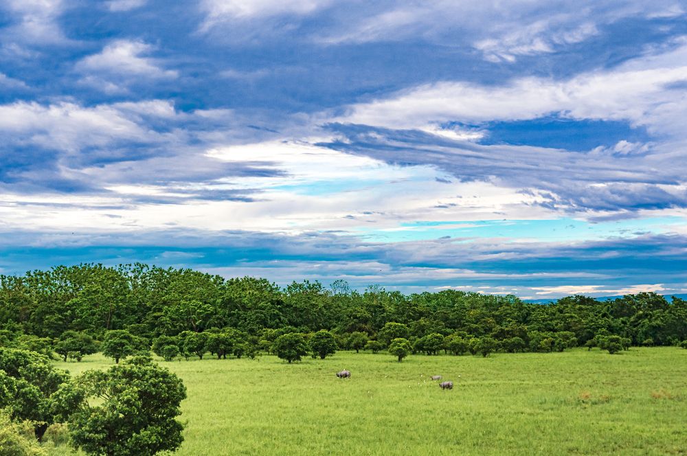 The blue sky, the green Earth.