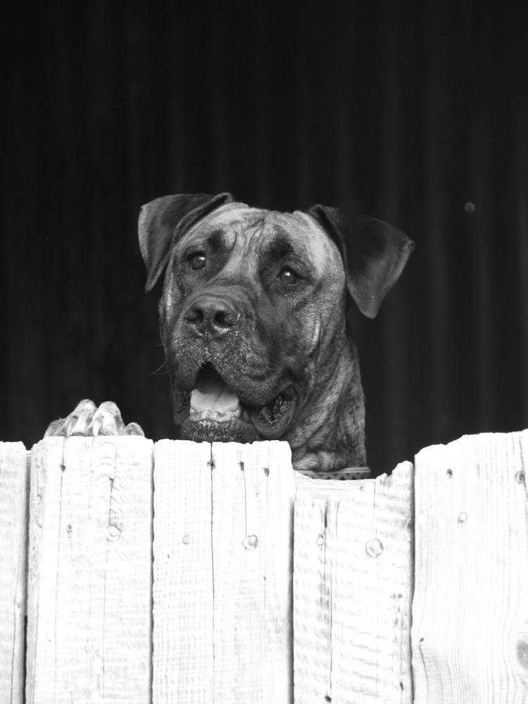 Photograph by Leonzeay Eddie