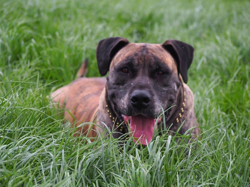 Photograph by Leonzeay Eddie