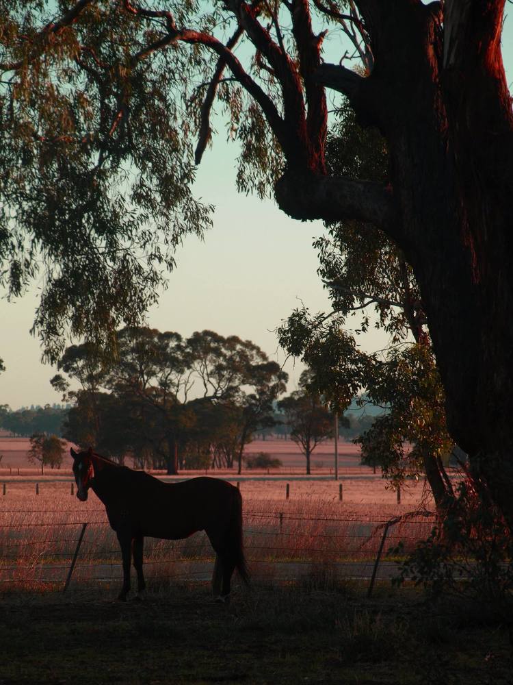 Photograph by Leonzeay Eddie