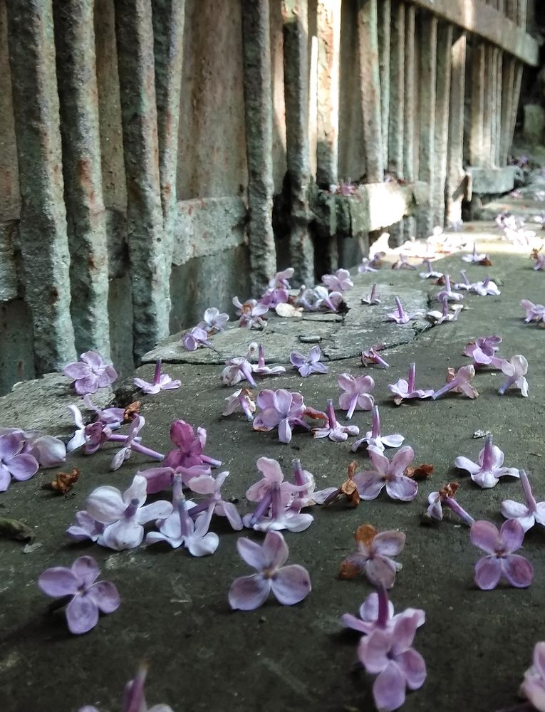 Photograph by Олег Ермаков